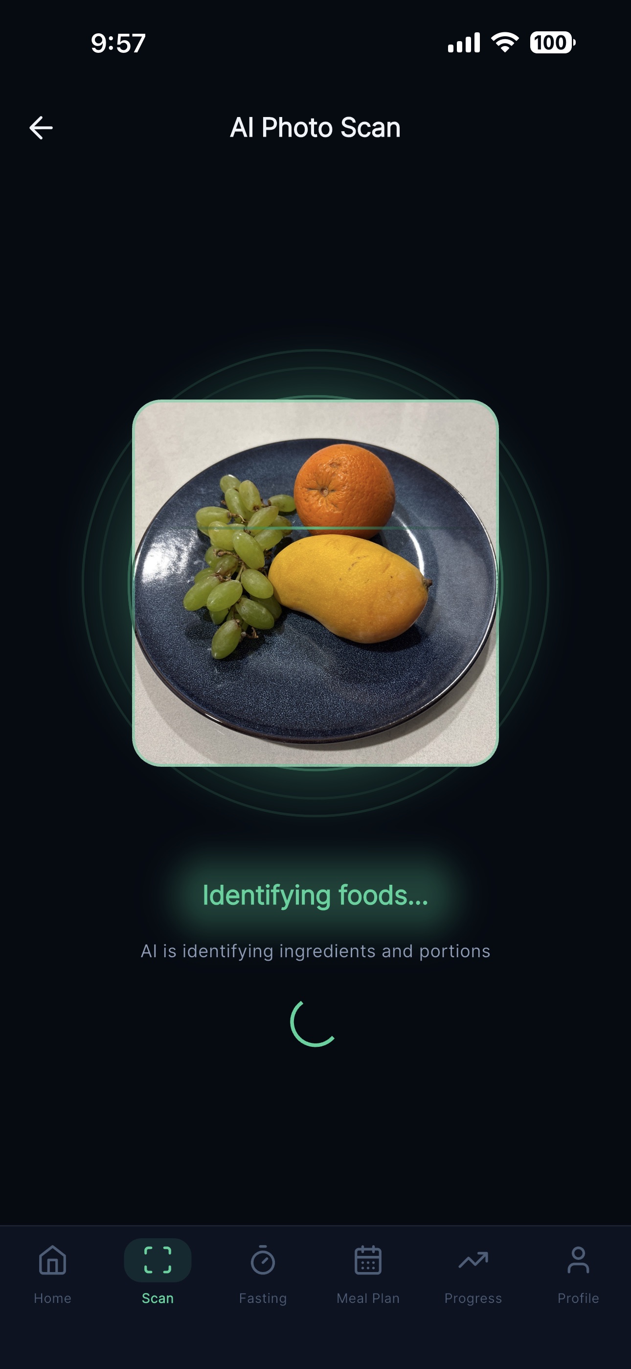 AI Photo Scan screen